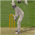 Last Man Standing (Cricket)